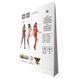 Бодістокінг Passion BS071 red, комбінезон на бретелях PBS071R фото 6
